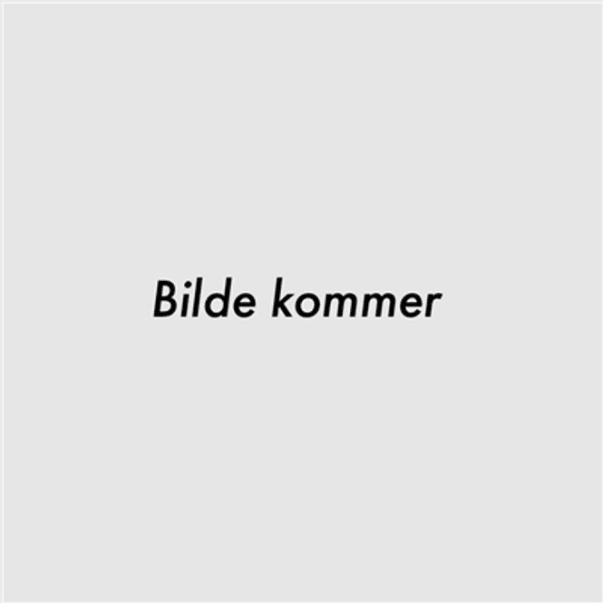 Hovedbilde Hoss Curtis - I Ei Tidlig Morrastuinn (CD-Singel)