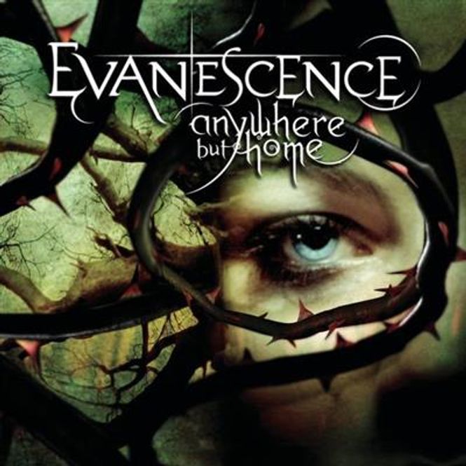 Hovedbilde Evanescence - Anywhere But Home - Live (CD+DVD)