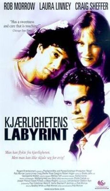 Hovedbilde Kjærlighetens Labyrint (DVD)