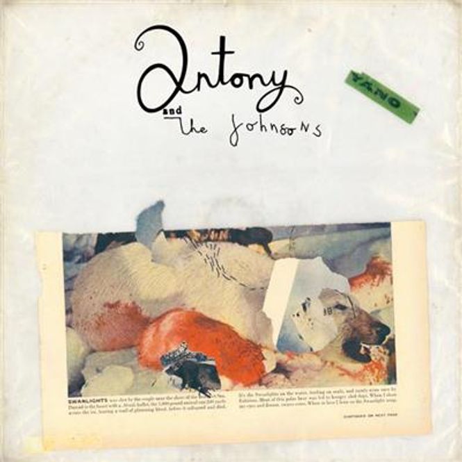 Hovedbilde Antony And The Johnsons - Swanlights (CD)