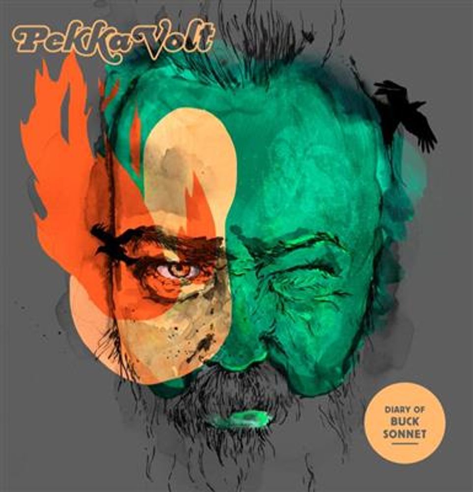 Pekka Volt - Diary Of Buck Sonnet (Vinyl)