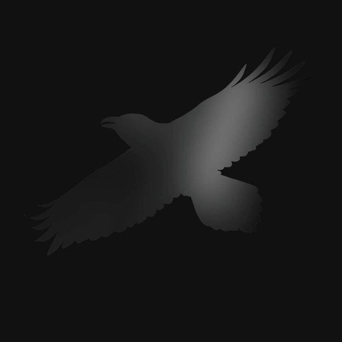 Hovedbilde Sigur Rós - Odins Raven Magic (2LP Vinyl)