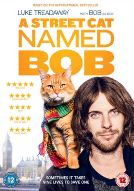 Hovedbilde A Street Cat Named Bob (DVD)