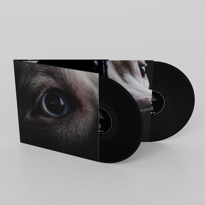 Hovedbilde Roger Waters - The Dark Side Of The Moon Redux (2LP Vinyl)